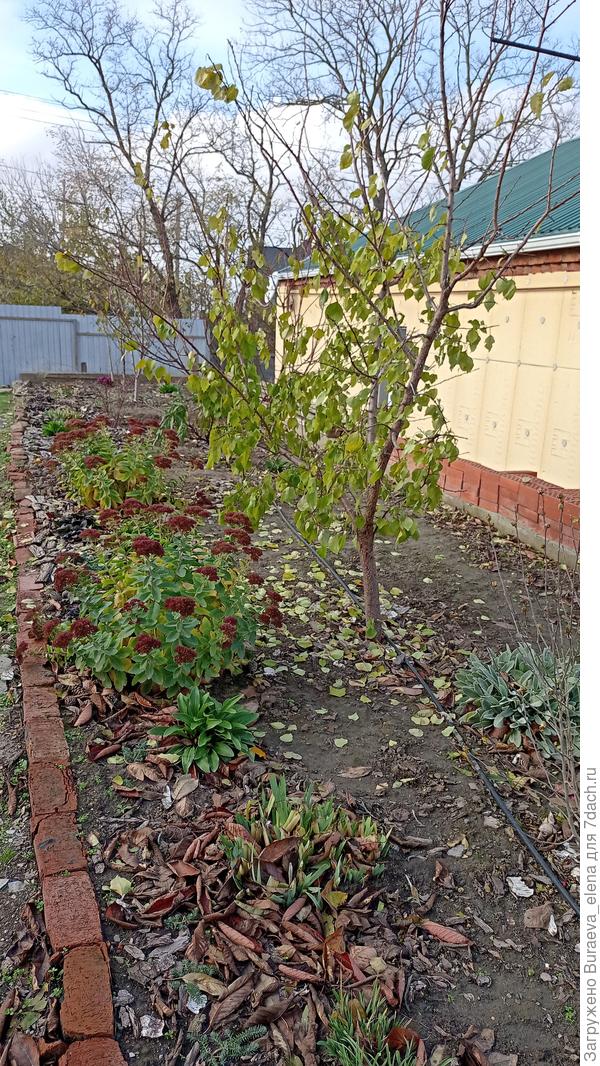 11 ноября 2022 года... Сезон заканчивается