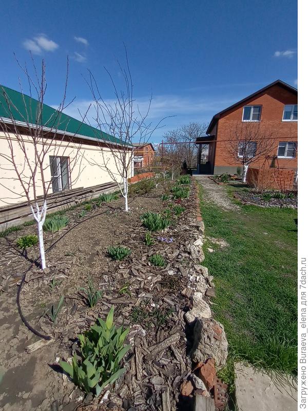 01 апреля 2023 года. В кои веки выглянуло солнышко))