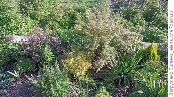 08 июня 2022 года