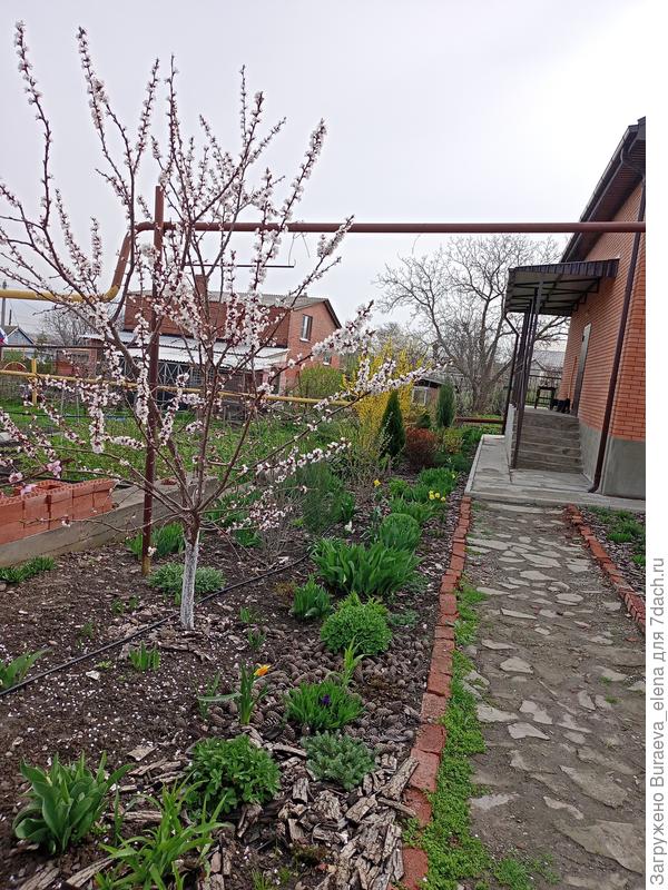 07 апреля 2023 года.