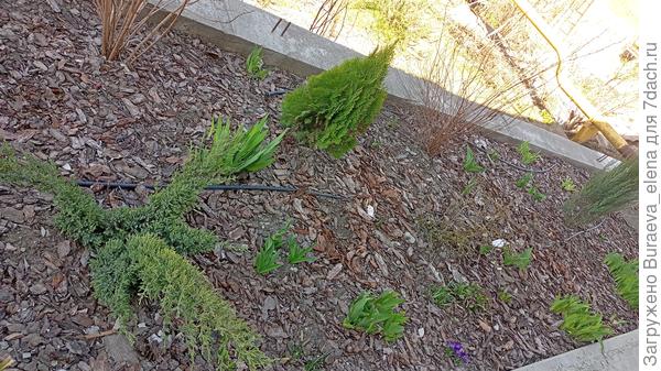 07 апреля 2022 года