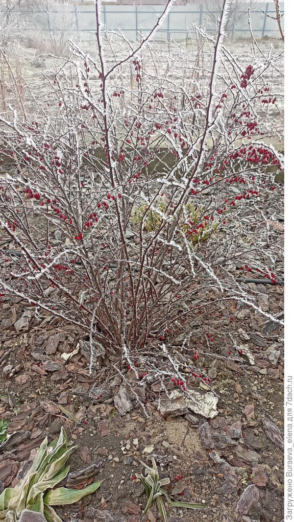 05 февраля 2022 года