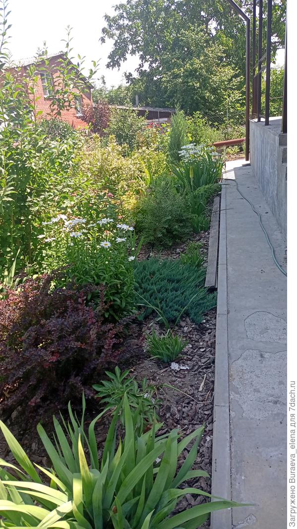 18 июня 2022 года