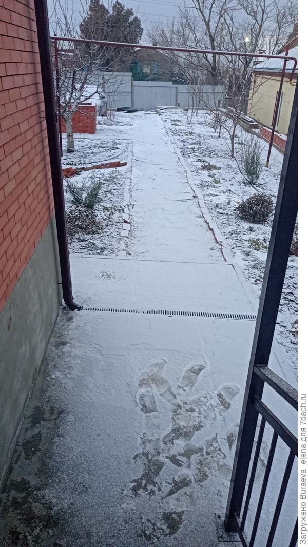 16 января 2023 года. Выпало что-то вроде снега. А под этим подобием снега - гололедище... Пока я (мы в селе) ждали посыпальную машину (ибо на работу уехать хотелось) - успел наступить рассвет и фотоаппарат, в кои веки зимой заснял не ночь.