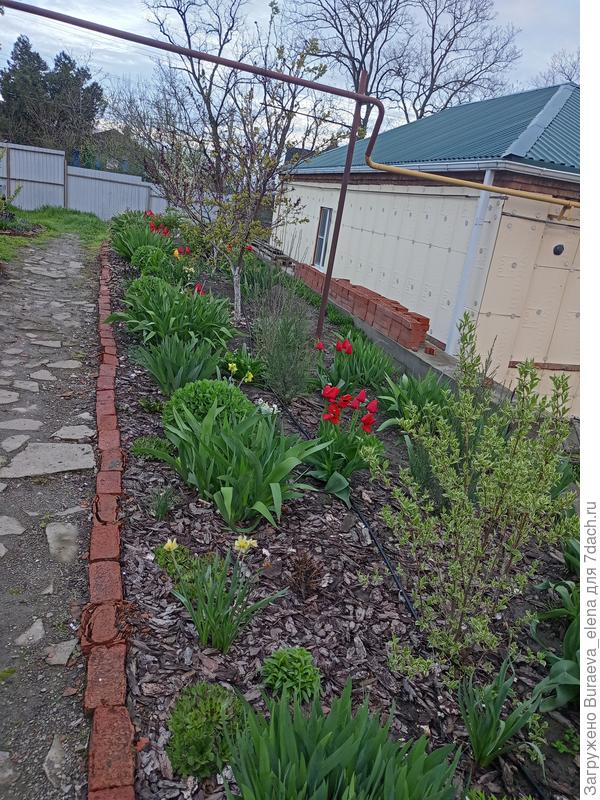 23 апреля 2023 года. Дожди продолжаются. или просто пасмурно