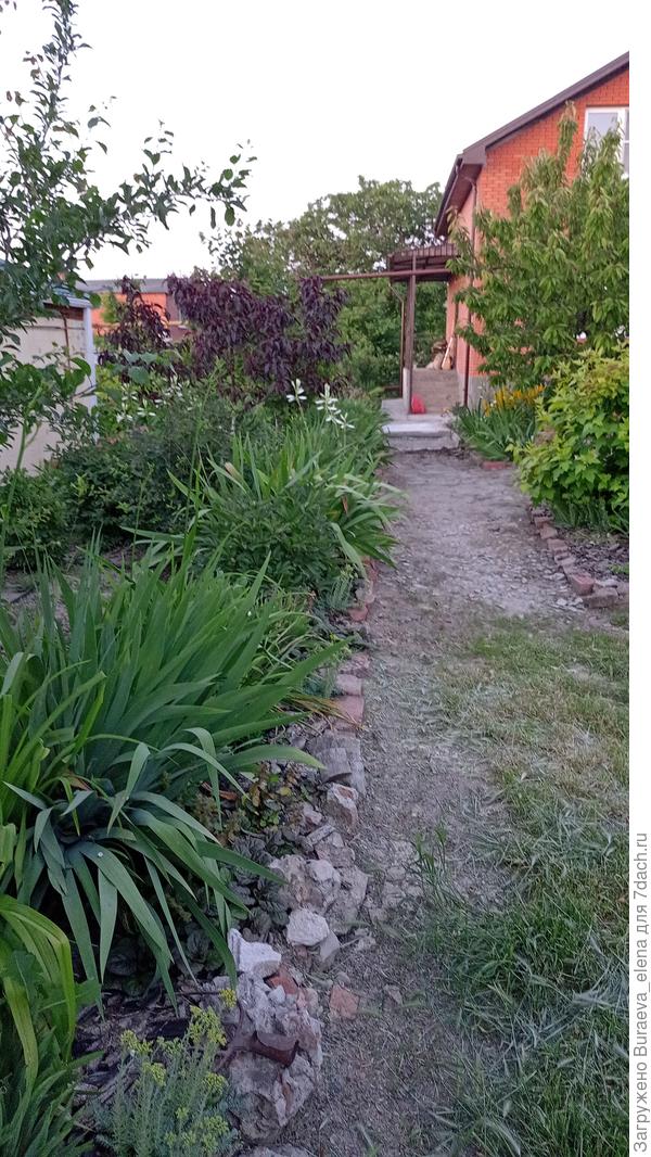 08 июля 2023 года.