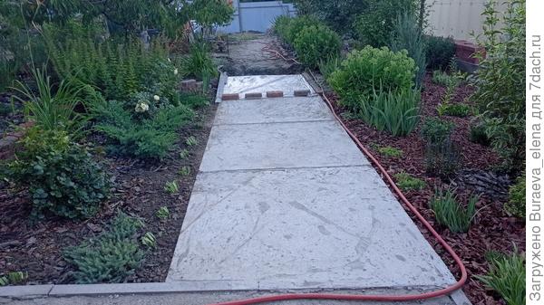 15 июля 2023 года. Дорожка делается.