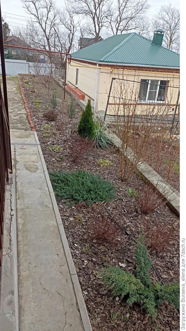 Цветник 11 марта 2023 года, к весне все чистенько, красивенько. Хожу, любуюсь и жду весну.