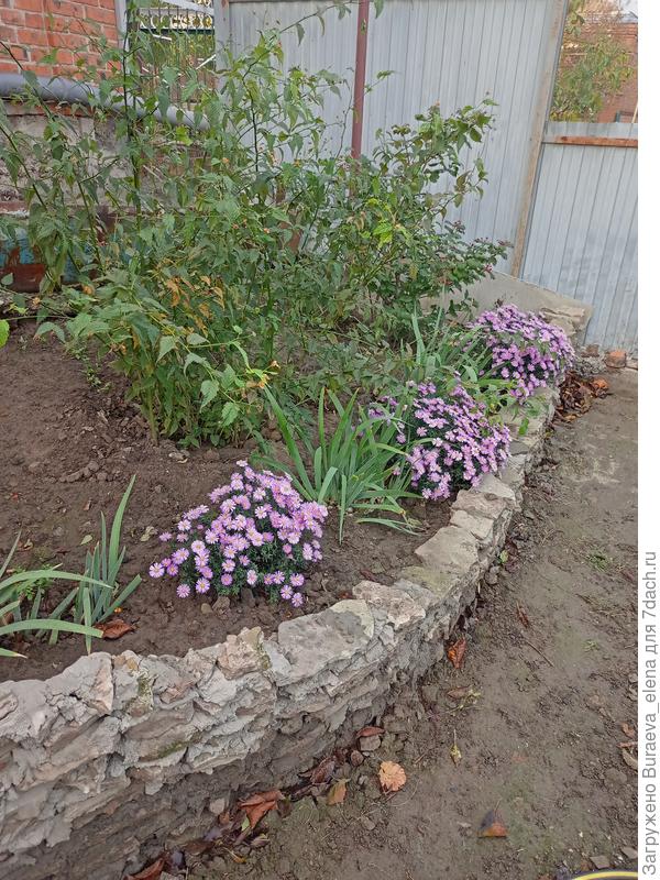 Опорочка, что летом делали