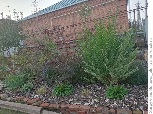 Вид на право.