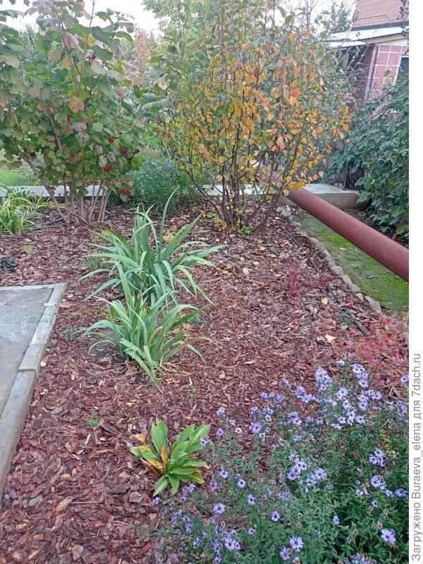 Вид на иргу