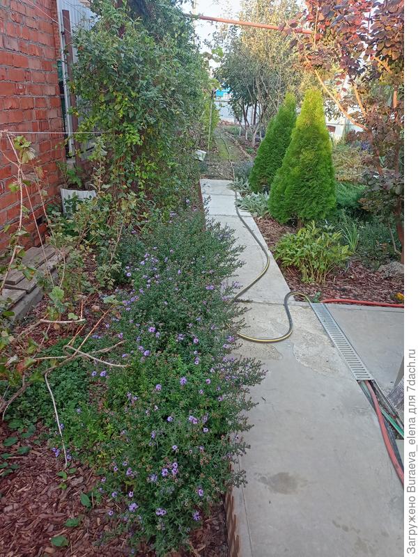 Идем по отместке дальше