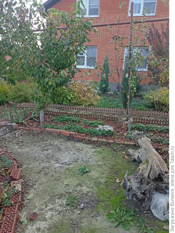 Недопатио. Тут пока бревно, которое работает скамейкой.