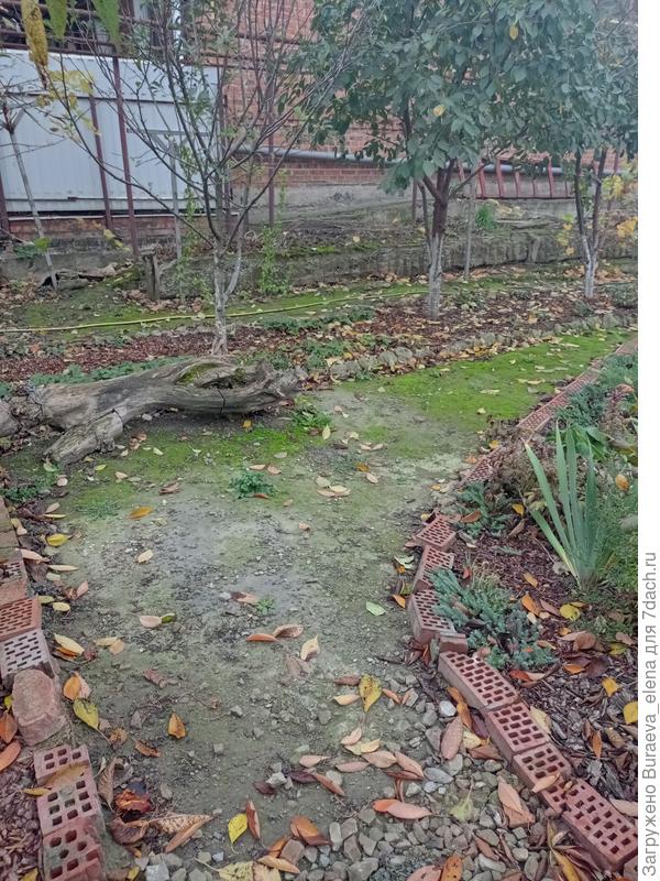 Площадка для патио. На ней пока коряга, работает скамейкой