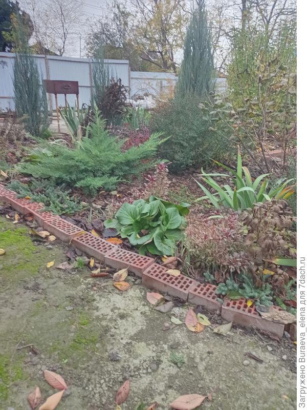 Если сидеть на коряге - такой вот вид на цветник