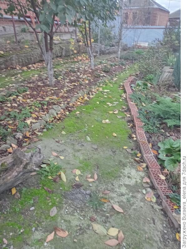 Патио (будущее) - справа фрагмент цветника