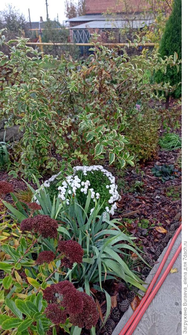 Но по пути в домик успела сделать еще и это фото))