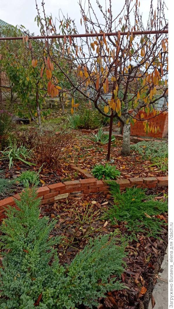 Красотища поближе