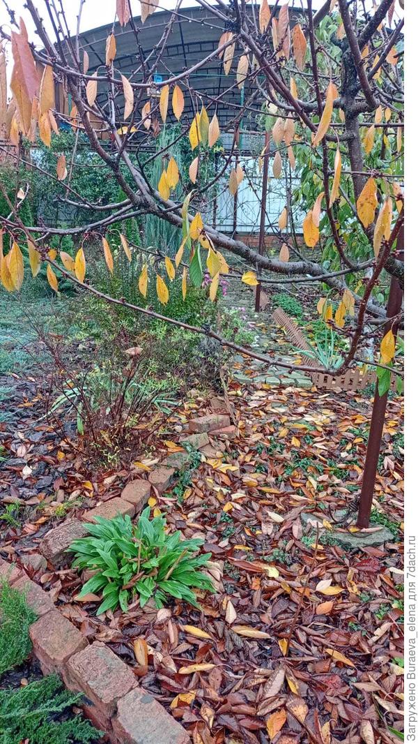 Красотища с другого ракурса. И тут дождик начался вновь...