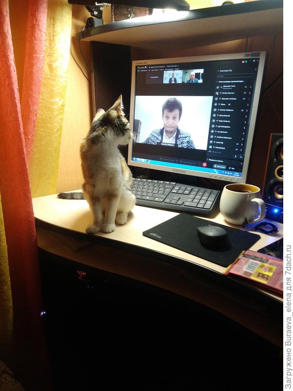 Со мной присутствует на он-лайн семинарах