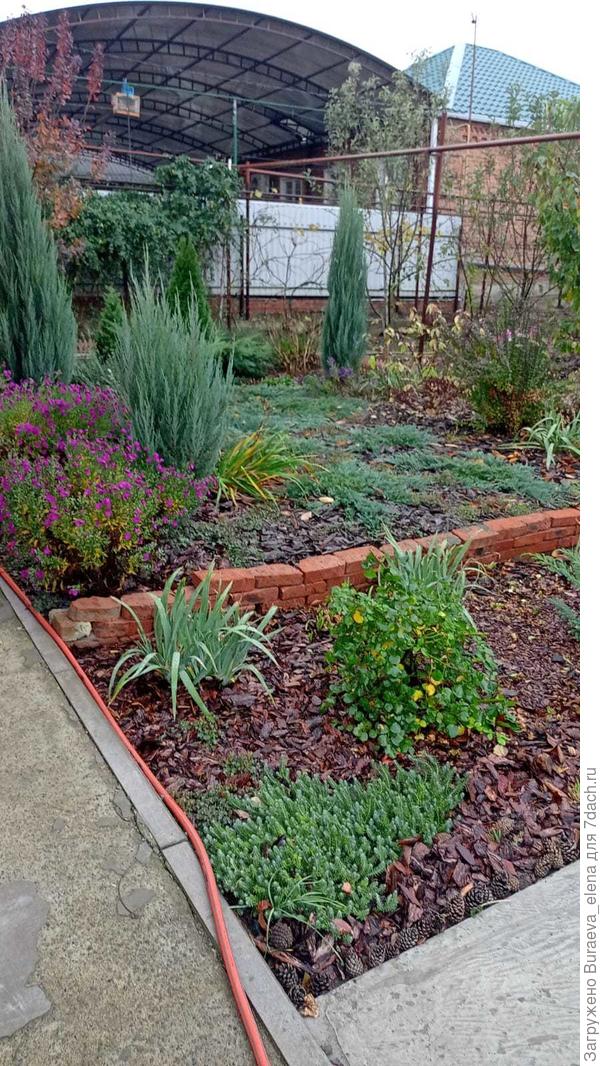 у меня пока сейчас так...  Еще не все облетело... Красок больше пока. Надо будет в декабре фотки следать... Правда я все корой лиственницы отсыпала - она рыжая, веселенькая... Может и поярче этой зимой будет.