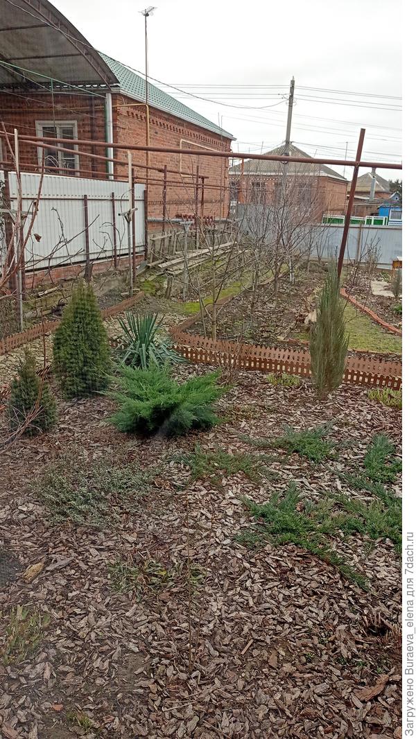 Январское фото (2023 года)