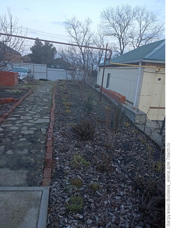 Это фото от 04 марта 2023 года - всю зиму темно, пасмурно...