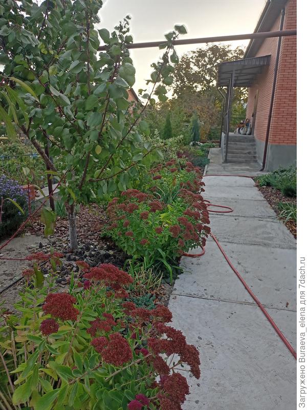 Только антураж не наш...