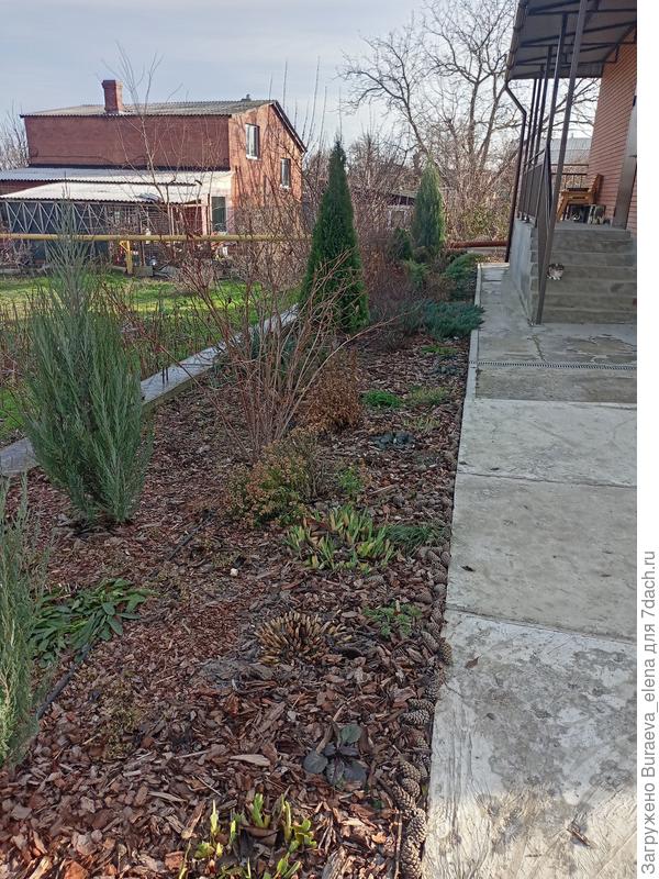 Посмотрели на лево