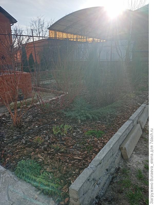 Фрагмент центрального цветника... Тут бордюр сделали. Кое-как. Надо бы декорировать чем-то красиво