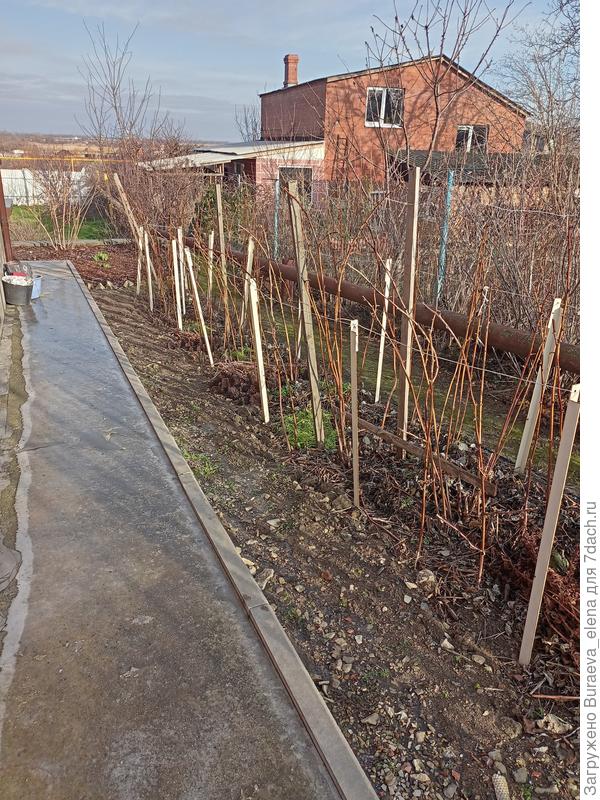 еще малинники