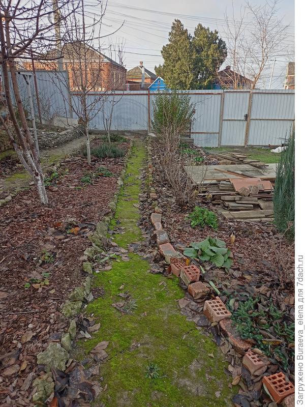 Дорожка с будущего патио