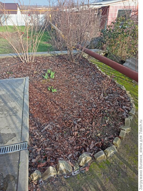 За крыльцом