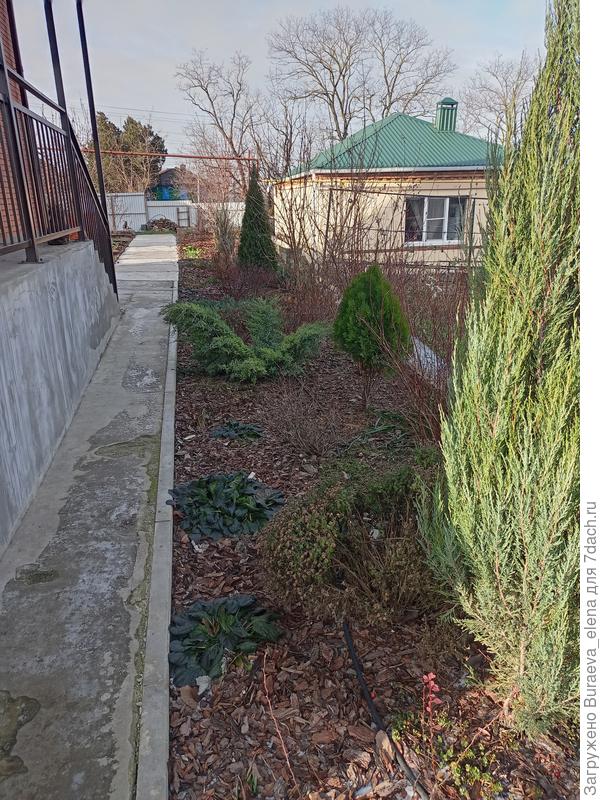 Цветник у крыльца. Вид в сторону ворот