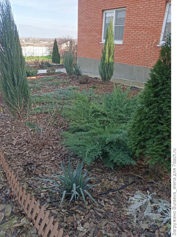 Еще фотка цветника под окнами. Другой ракурс