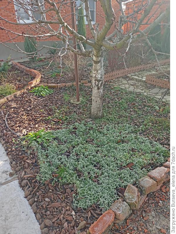 Посмотрели направо