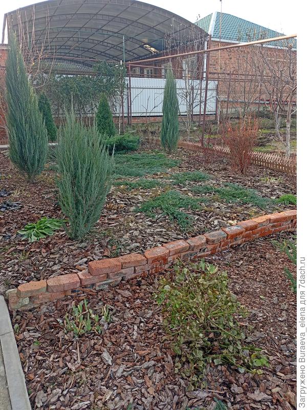 Цветник под окнами