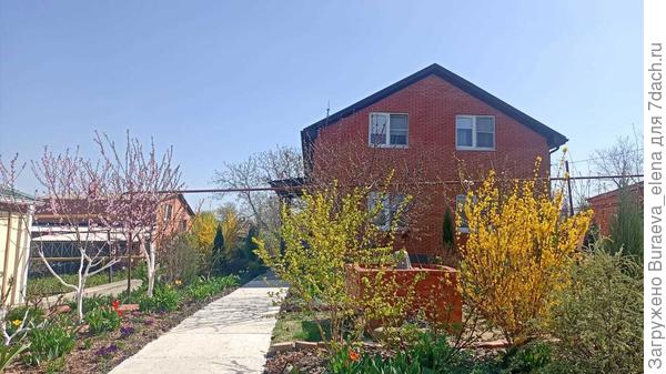 Общий вид моего дворика в апреле 2024 года