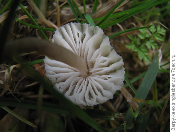 88
