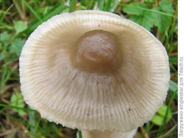 96