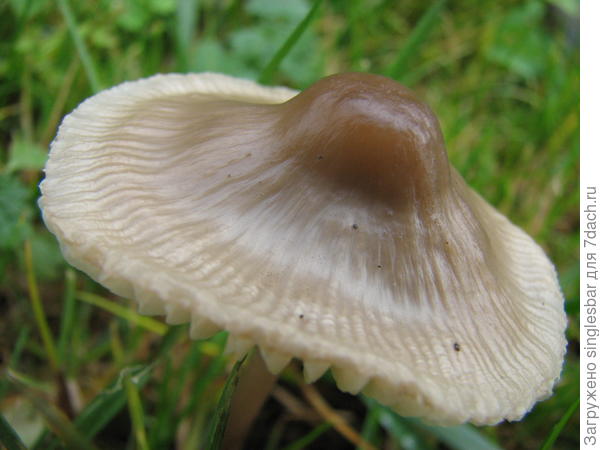 95