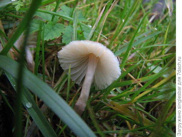 85
