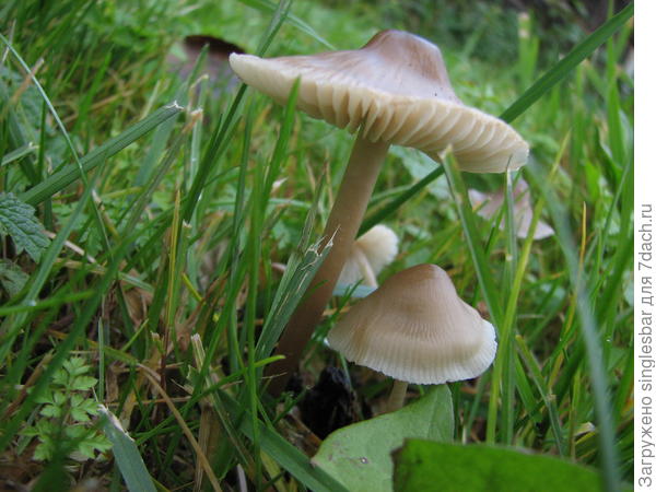 83