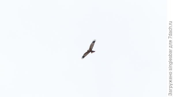 фотография номер сто пятьдесят один