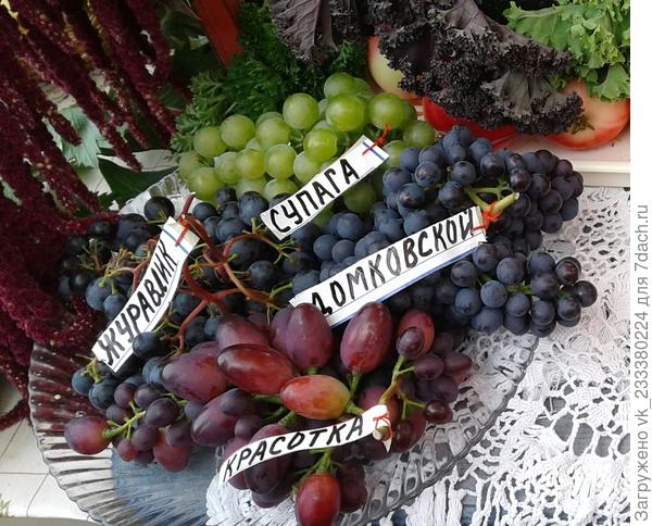 Это их виноград.