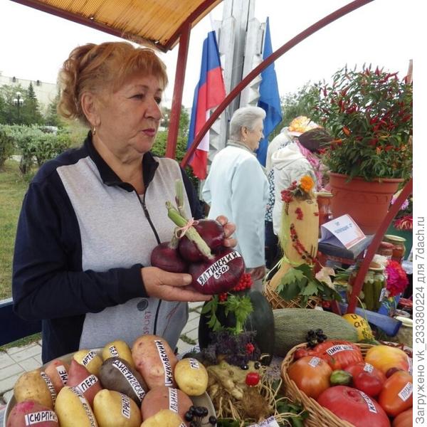Екатерина рассказывает, как из семян через рассаду, вырастила сорт лука "Ялтинский".