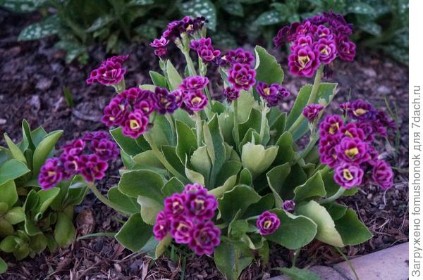 Много всего...