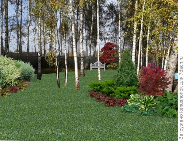 Как вписать в общую концепцию сада берёзы, растущие на участке? - ответы экспертов 7dach.ru