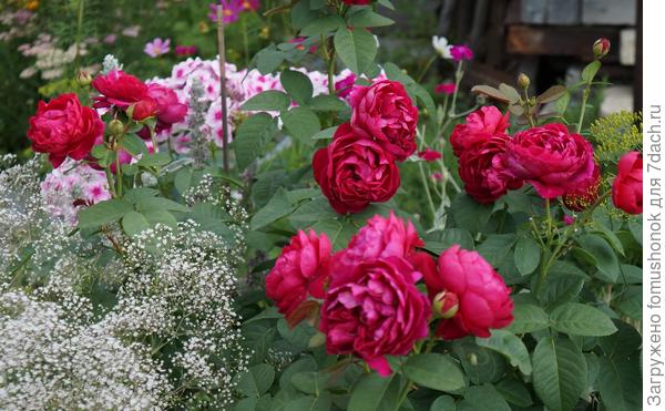 Вот такая у меня была...