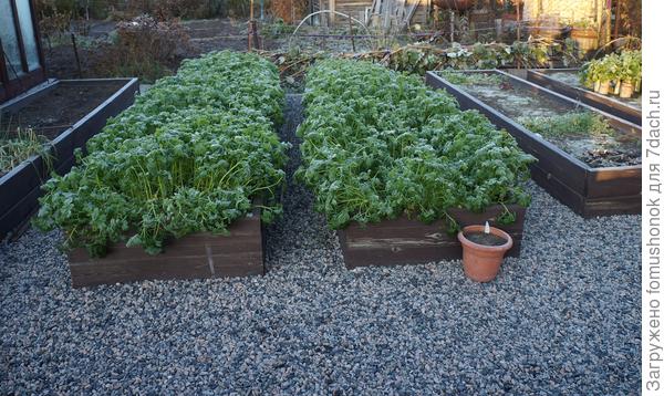 Такая была 10 октября утром, к обеду тогда отошла, поднялась...